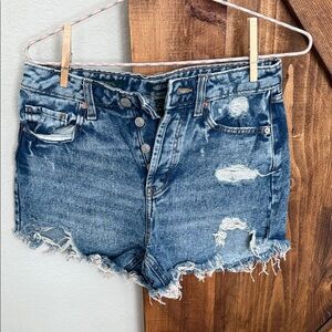 Wild Fable Blue Distressed Jean Shorts